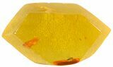 Detailed Fossil Fly (Sciaridae) In Baltic Amber - Jewelry Cut #50590-2